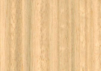 Eucalyptus